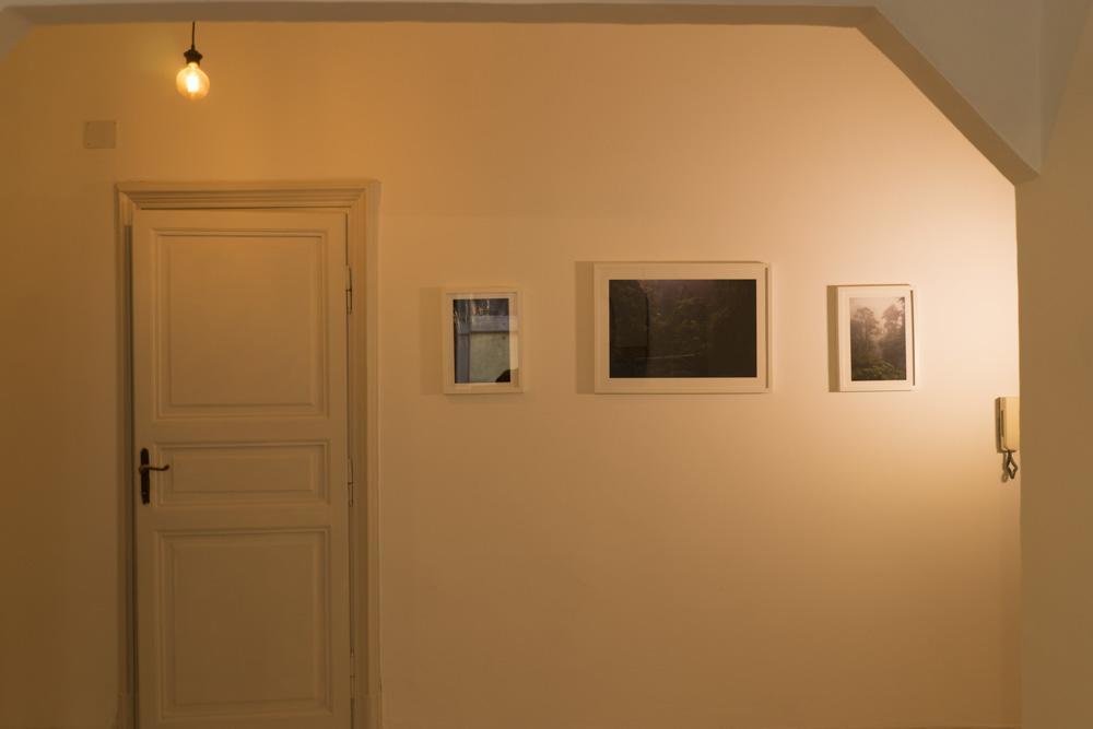 Trastevere Corner Eight Gasthuis